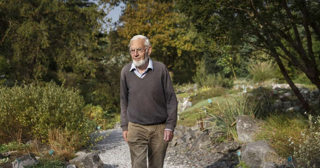 Olaf Schuiling: in memoriam – greenSand