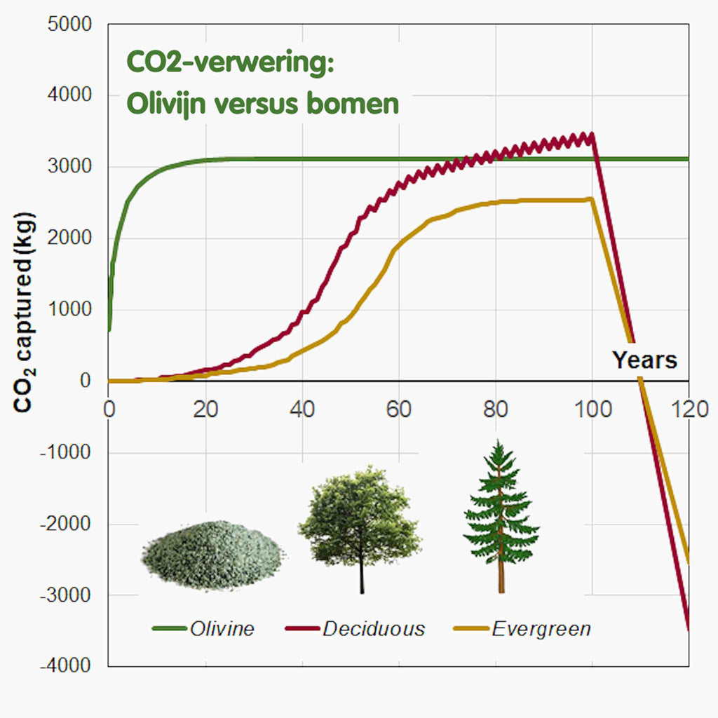 CO2 verwering olivijn vergeleken bomen