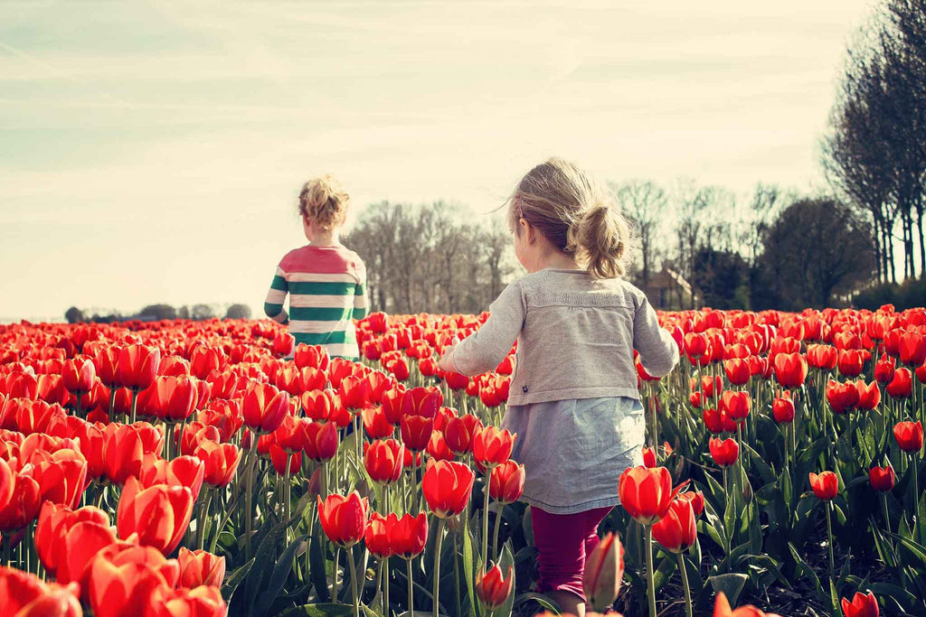 Placeholder image for background video. Kinderen spelen in het tulpen veld.